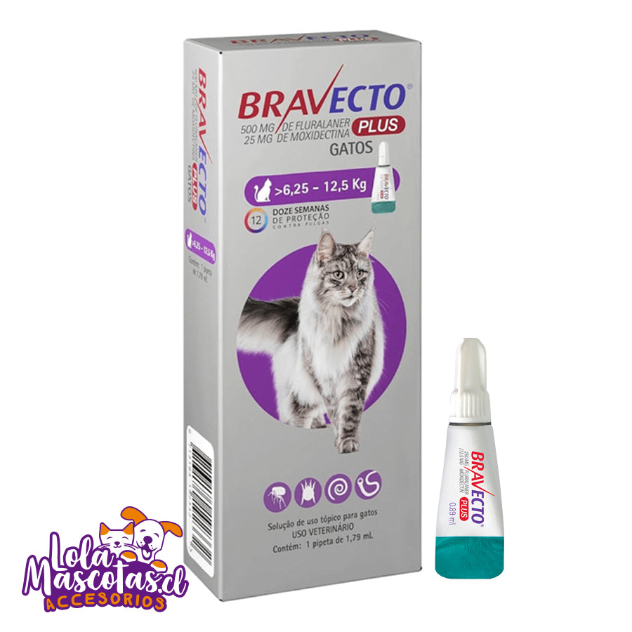 Pipeta Gato Bravecto Plus 6,25 a 12,5 Kg🐱🐈