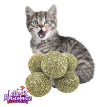 Cargar imagen en el visor de la galería, Mini Bolitas de Catnip 110gr 🐱🐈
