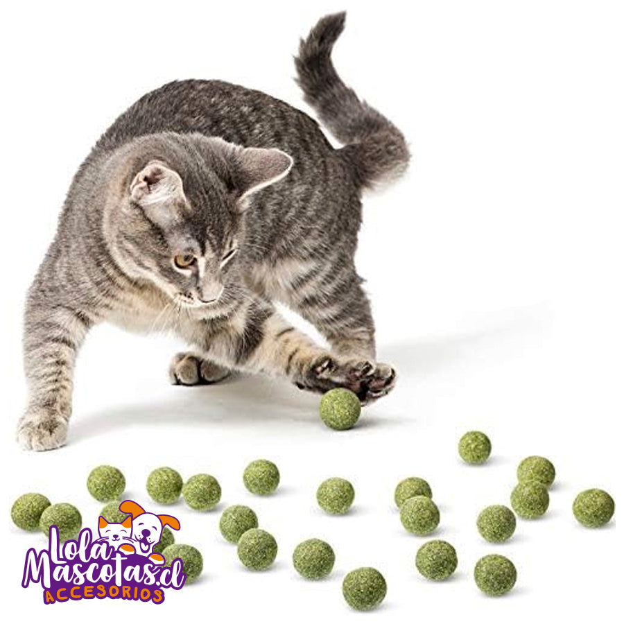 Mini Bolitas de Catnip 110gr 🐱🐈