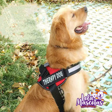 Cargar imagen en el visor de la galería, Arnés Perro Therapy Dog 🐕🐶
