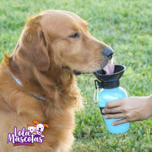 Cargar imagen en el visor de la galería, Botella Agua Portátil 🐶🐱
