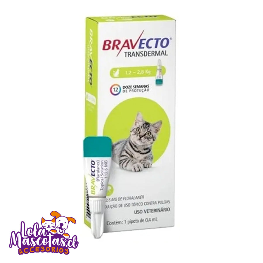 Pipeta Gato Bravecto 🐱🐈