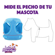 Cargar imagen en el visor de la galería, Arnés Pechera Paseo 🐶
