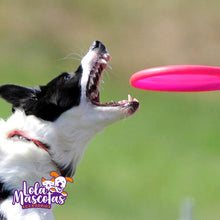 Cargar imagen en el visor de la galería, Frisbee Goma Dura 🐶
