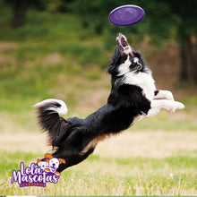 Cargar imagen en el visor de la galería, Frisbee Goma Dura 🐶
