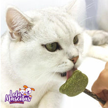 Cargar imagen en el visor de la galería, Paletas de Catnip 🐱🐈
