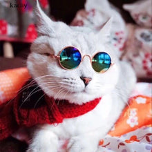 Cargar imagen en el visor de la galería, Gafas de Sol Para Gatos🐱
