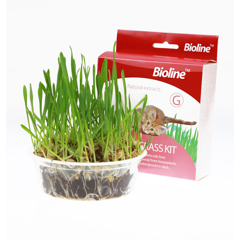 Cat Grass Kit Bioline 12g. 🐱