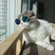 Cargar imagen en el visor de la galería, Gafas de Sol Para Gatos🐱
