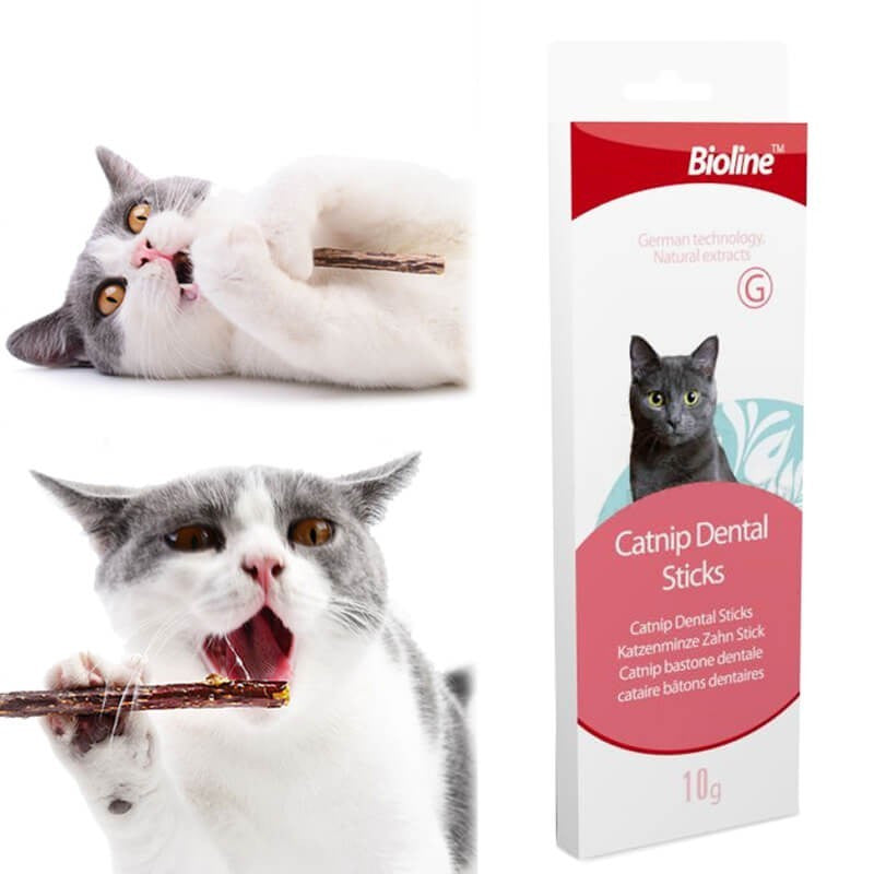 Dental Stick Catnip (palitos de limpieza dental)🐱